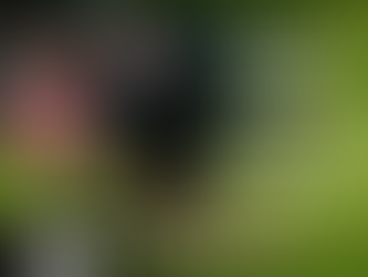 Inteligência de Crédito Internacional: Crescimento e Competitividade internacional