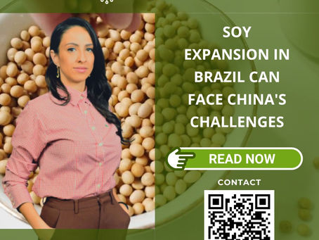 Soy Expansion in Brazil Can Face China's Challenges