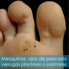 26ca0a_a9a8b07dc5e44e73aa99b2e246eea95c~mv2.png