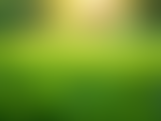 Expert Grounds Maintenance Tips for Lush Lawns