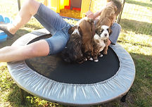 20190616_185700-01 (1).jpeg