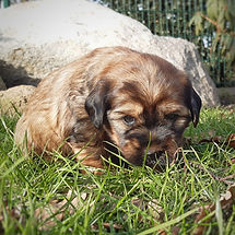 IMG-20210220-WA0014.jpg