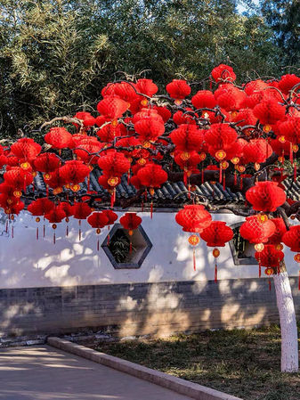 Những ý tưởng trang trí Tết 2025