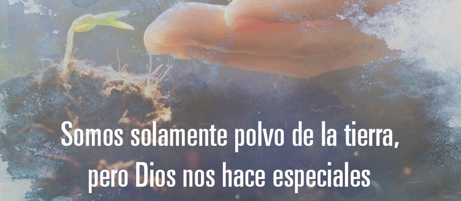 Viernes 3 de Julio de 2026.