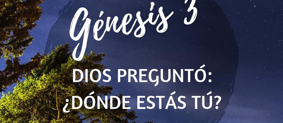 Sábado 19 de Abril de 2025.