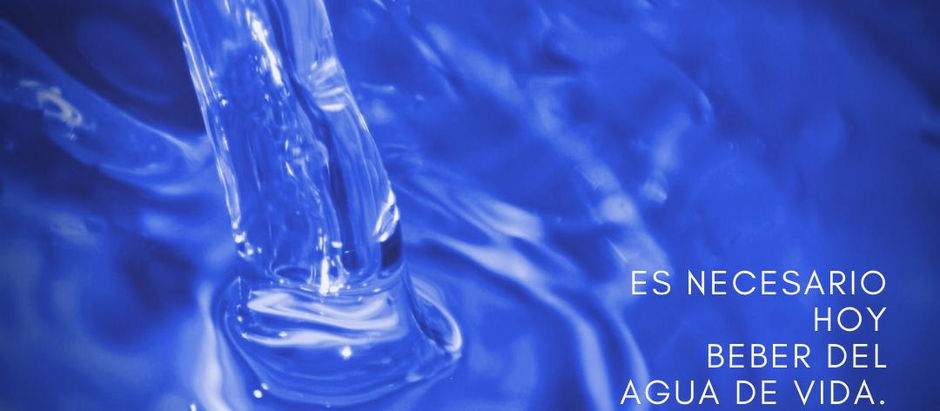 Sábado 30 de Agosto de 2025.