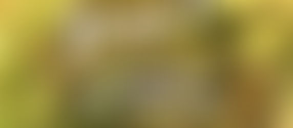 Sábado 3 de Mayo de 2025.