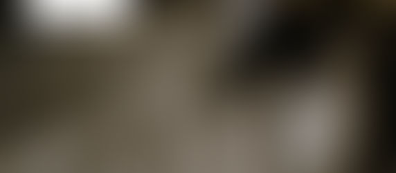 Jueves 21 de Noviembre de 2024.  