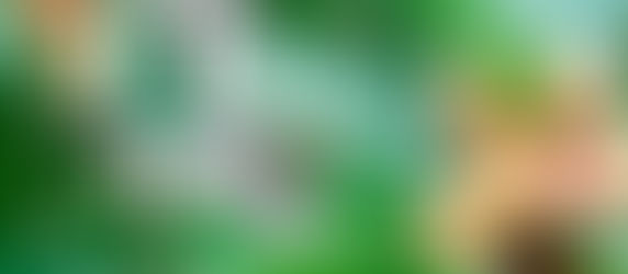 Sábado 7 de Septiembre de 2024.