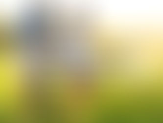 Sábado 7 de Febrero de 2025.