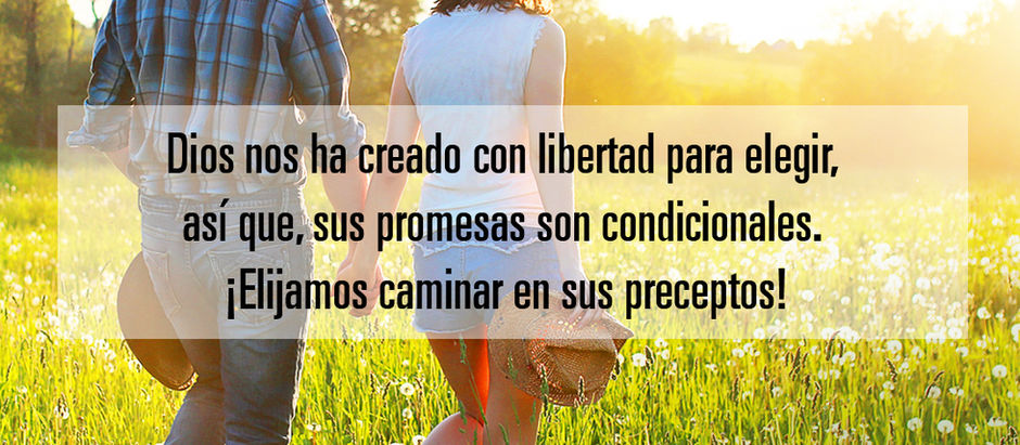 Sábado 7 de Febrero de 2025.