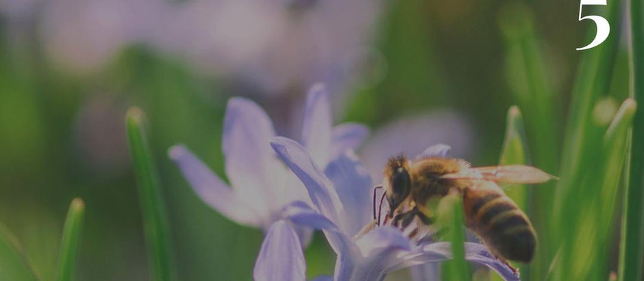 Domingo 19 de Enero de 2025.