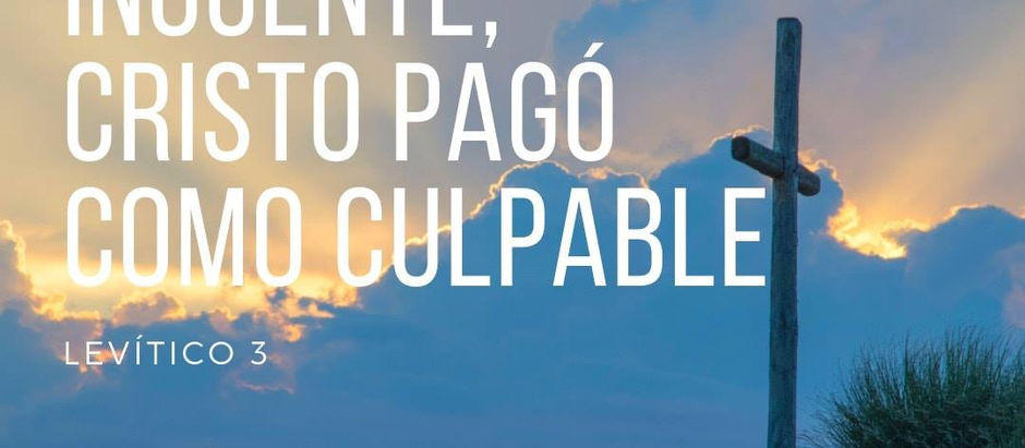 Viernes 18 de Julio 2025.