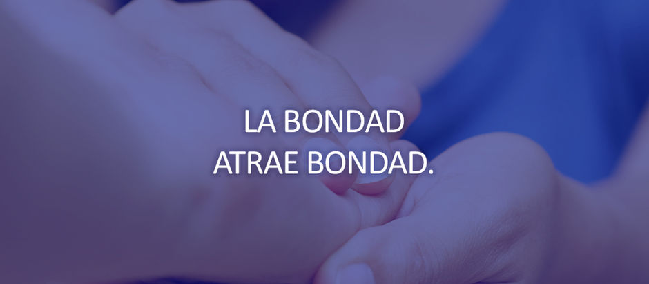 Martes 28 de Abril de 2026.