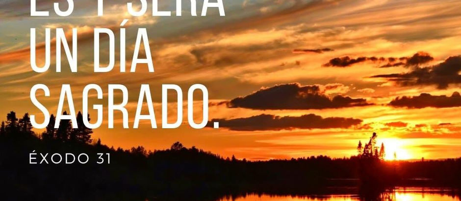 Domingo 6 de Julio de 2025.