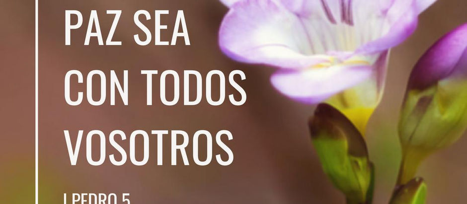 Viernes 14 de Marzo 2025.