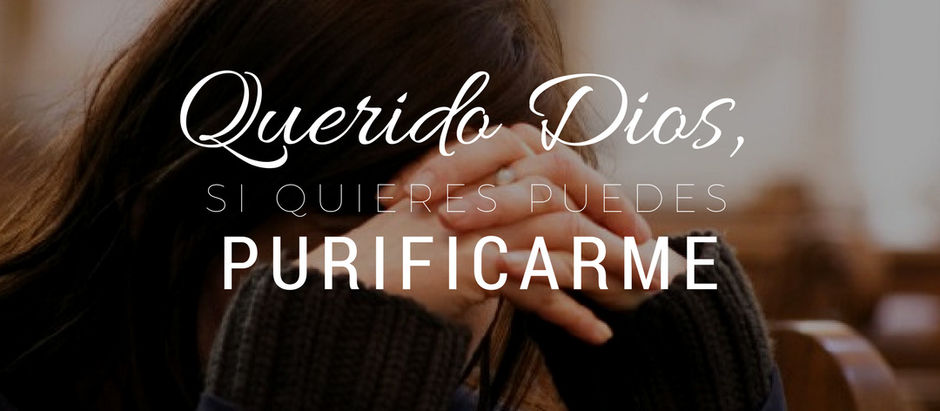 Miércoles 7 de Julio 2024. 