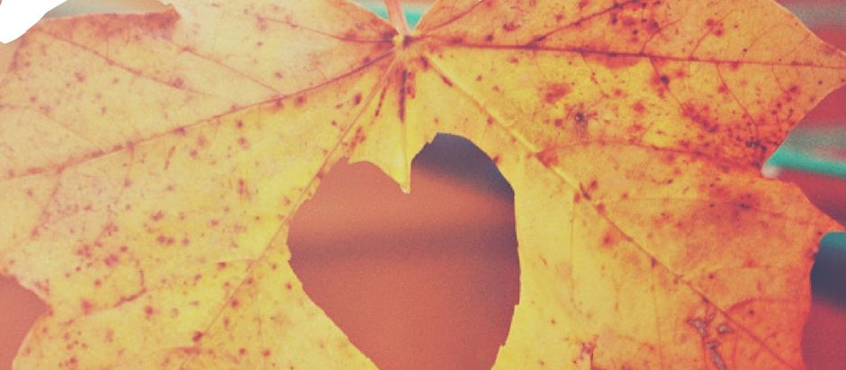 Domingo 6 de Octubre de 2024. 