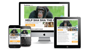 Responsive Design vs. Adaptive or 'Screen Specific' Design