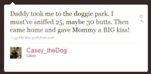 Dogs following Dogs on Twitter.