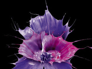 Paint marketing must be hard.