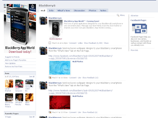 Value of a Facebook Fan page