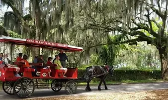 cariage downtown Beaufort.webp