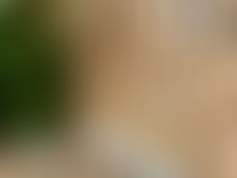 ほぐし屋いこいのホームページがリニュアル!