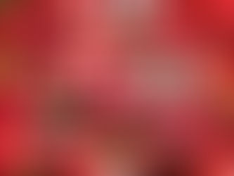 3/8(日)JOYLIFE!!にて、地元東松山のいちご農家「ソルファーム」さんが急遽出店決定！人気のあまりんも入荷予定！