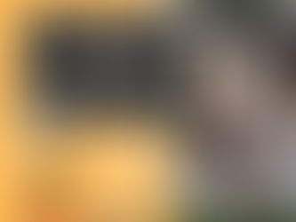 10/28(土)13時〜 保護された「ワンちゃん&猫ちゃん譲渡会」が開催されます。