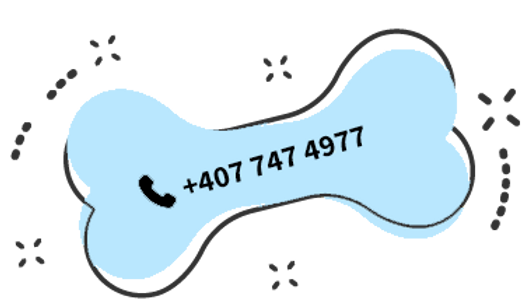 phonebutton.png