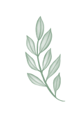 Untitled_Artwork_edited.png