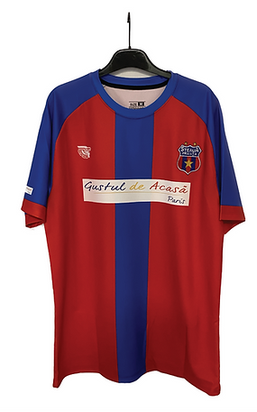 steaua franta site.png