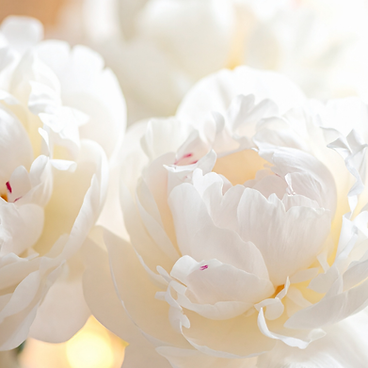 Untitled design - 2026-04-29T112839.396.png