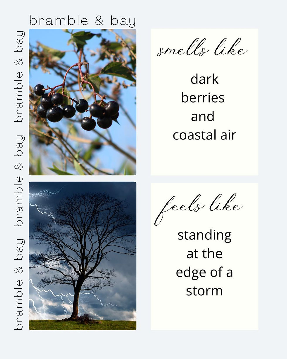 Berries with leaves against a blue sky and a tree with lightning in a storm. Text: "smells like dark berries and coastal air" and "feels like standing at the edge of a storm."