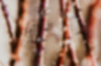 Close-up of red thorny branches with sharp spikes, against a blurred beige background, creating a textured and intense visual.