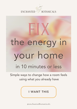 FIX the energy in your home lead magnet (1).png