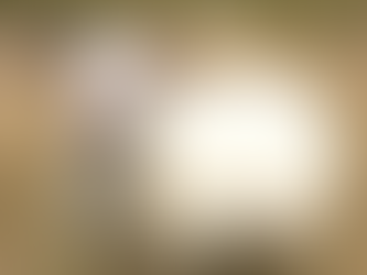 A pregnant ewe standing in a field.