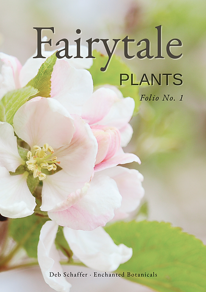 Fairytale Plants (5).png