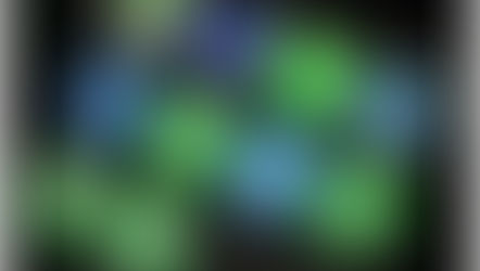 Cresce consumo de notícias via apps de mensagens