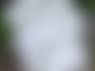 Move into love. Embrace your pureness.