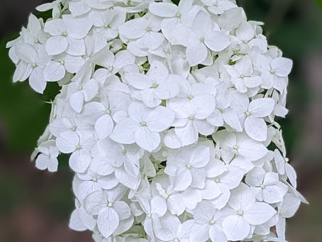 Move into love. Embrace your pureness.