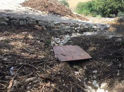 שביל גישה ממתחם הגידולים ליער המאכל