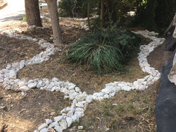 נחלי אבנים ופטריות בטון