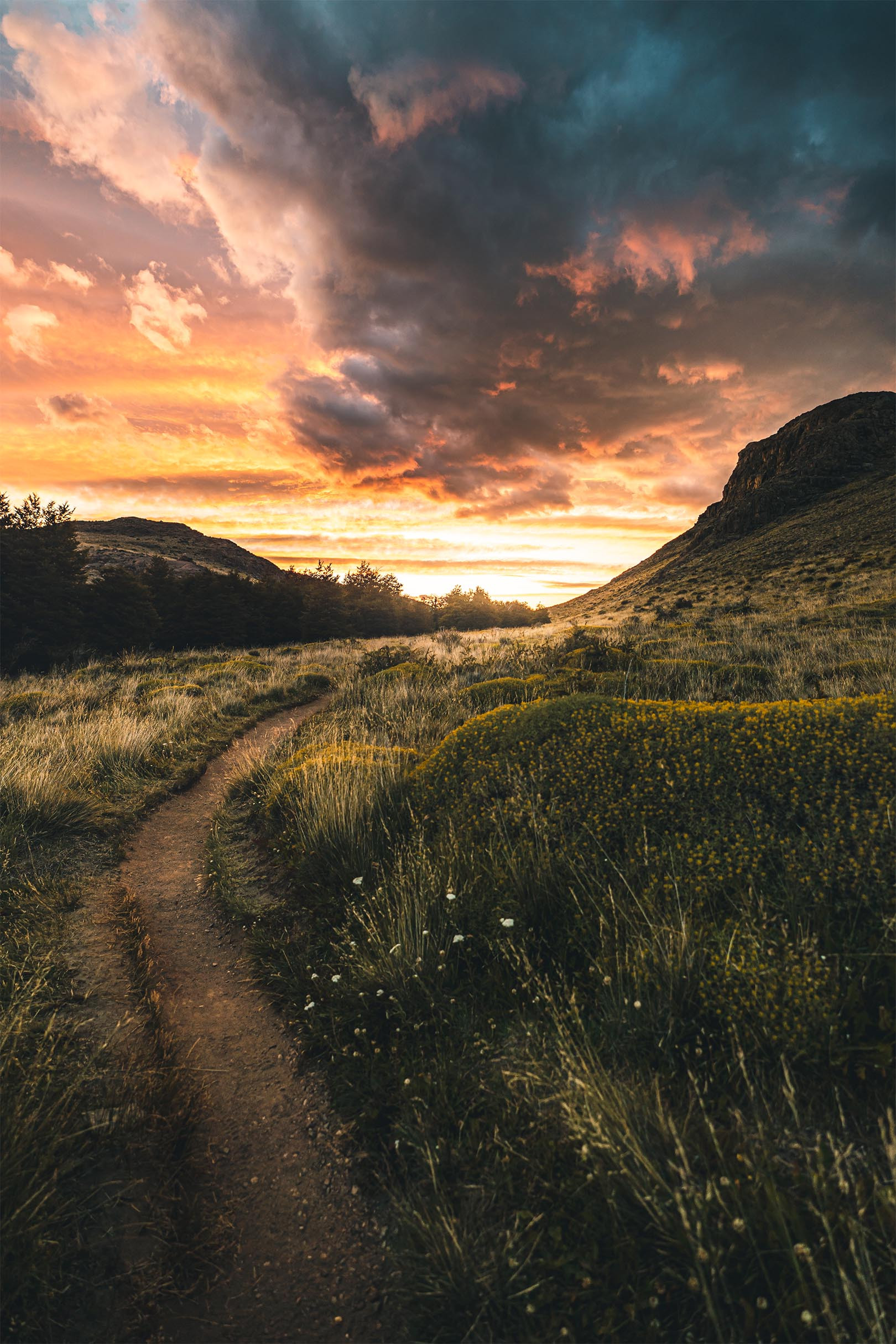 way to the sunrise - high quality