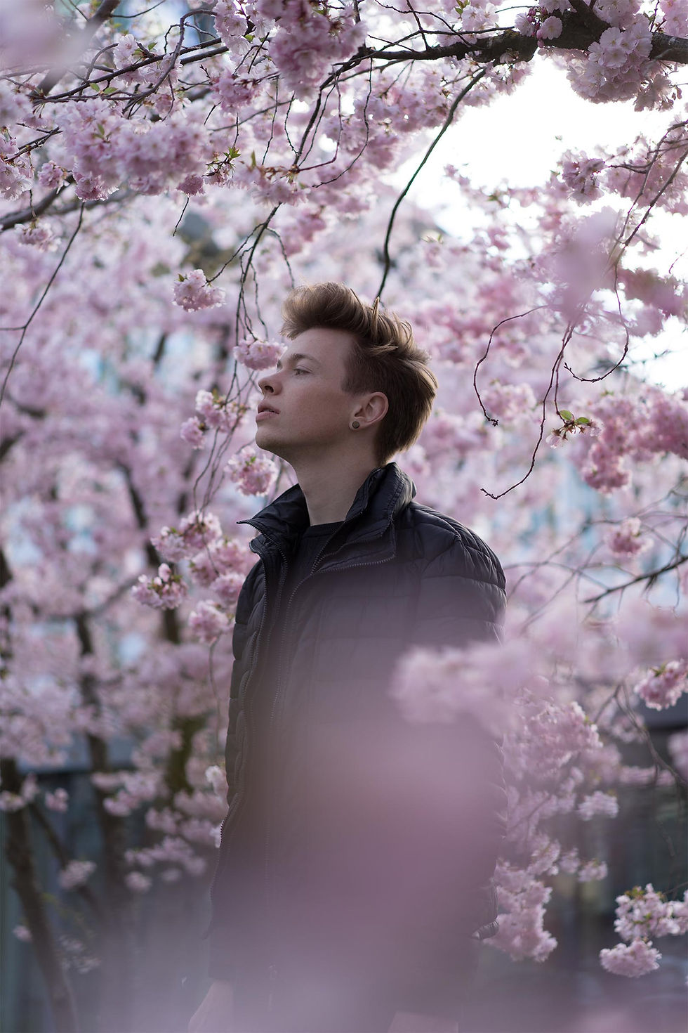 Thumbnail: people cherry blossom - preset