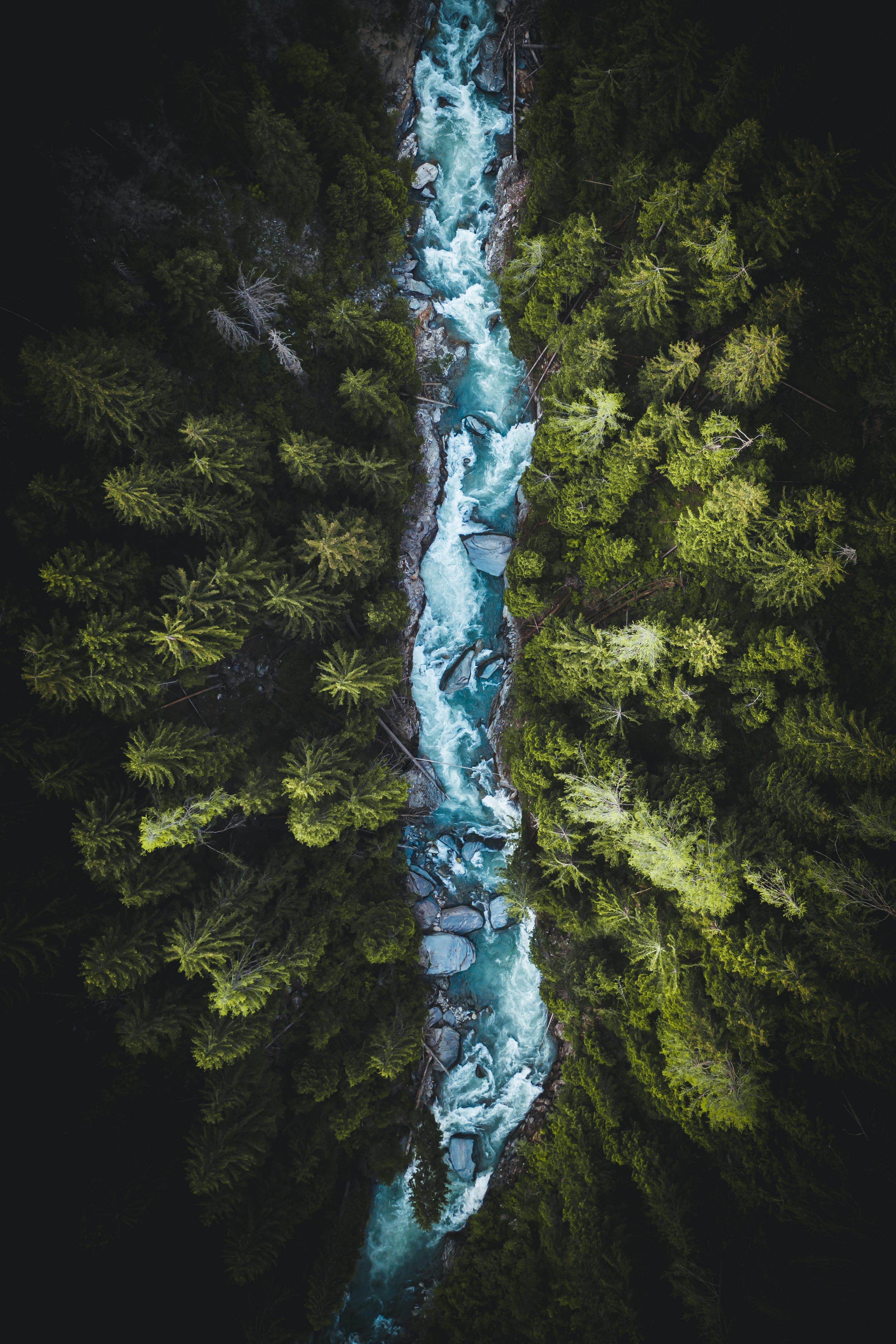 the lonely river - high quality