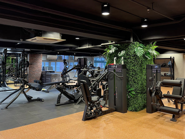 健身器材健身室設計綠植裝飾