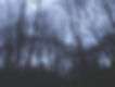 10290620_10153870240071214_3540115785952809718_n_edited_edited.jpg