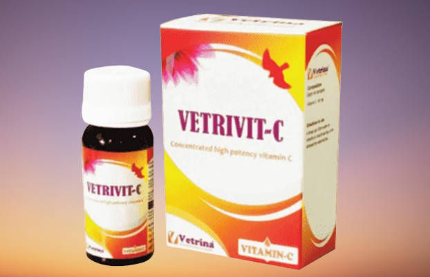 Herbal Bird Medicine: Safe and Effective Treatments